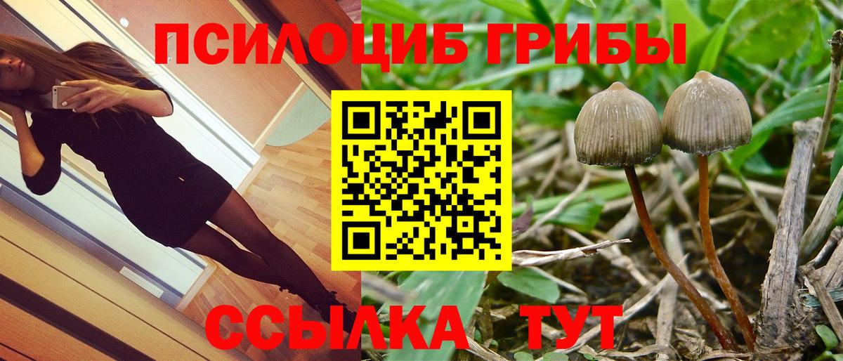 как найти закладки  Псилоцибиновые грибы Cubensis  Вход с VPN  Великие Луки 
