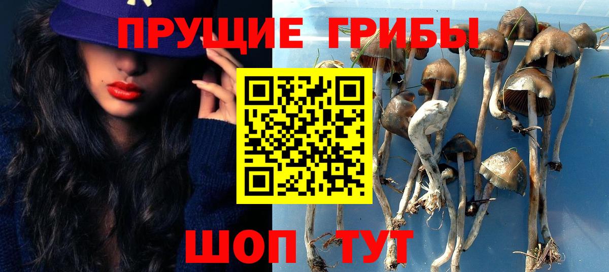Псилоцибиновые грибы мухоморы Великие Луки